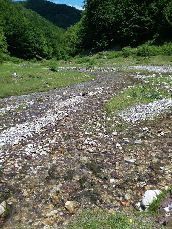 Pensiunea Piatra Graitoare Vártop Kültér fotó