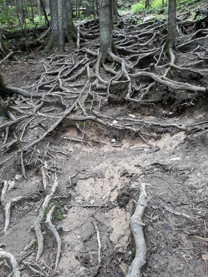 Pensiunea Piatra Graitoare Vártop Kültér fotó
